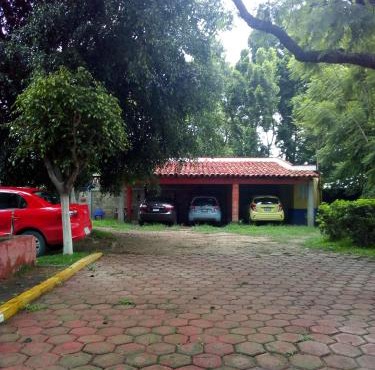 La lagartija