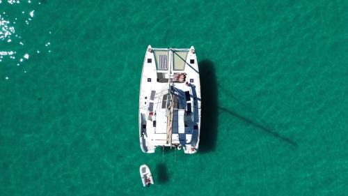 Lagoon 450 F 2019 Catamaran