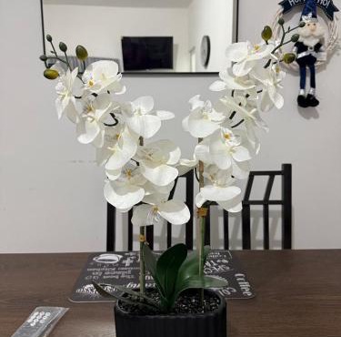 Las Flores en Quinta La Chata