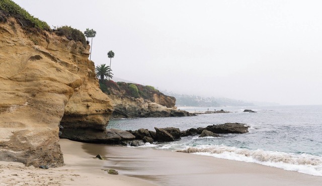 Le Petit Pali Laguna Beach