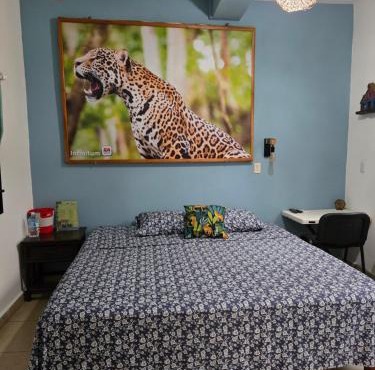 LoftJaguar