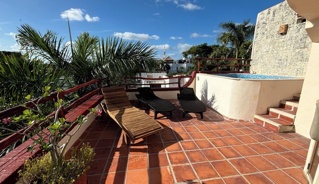 Luxury Oceanview DT. Playa Centro Penthouse, Private Roof Top Deck, Plunge Pool.