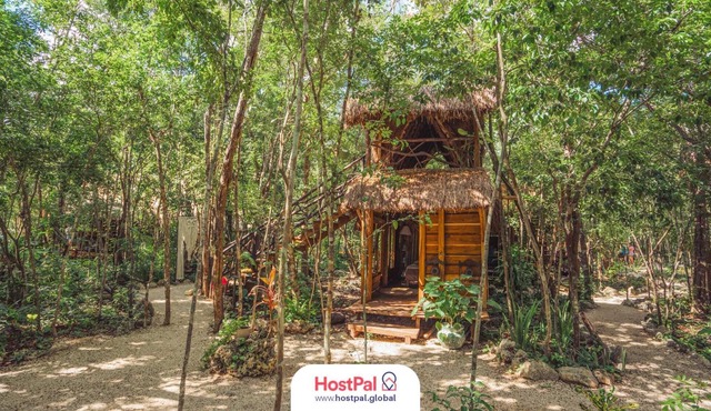 Madre Tierra Eco Habitat | Alberca natural y yoga