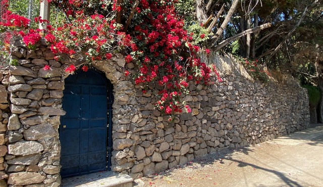 Magnolias Jardin & Boutique Suites