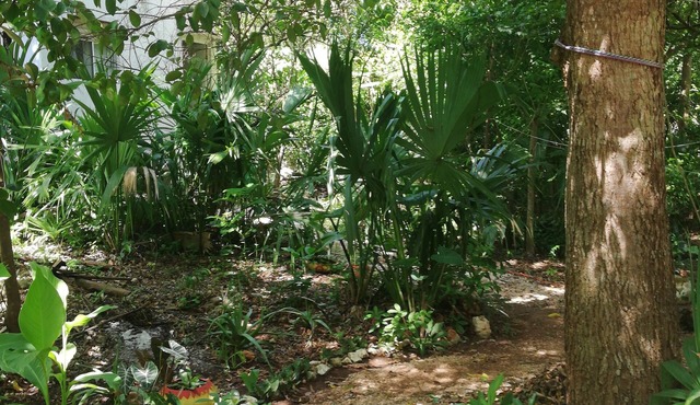 Mayan Bungalow Near Chichén Itza