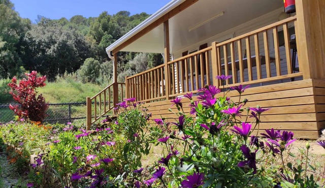 Mobilehome 100 m to the Mediterranean Sea