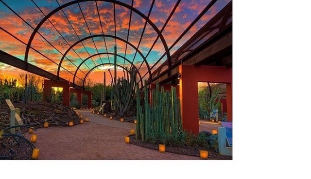Modern Renovated Gem- Scottsdale Townhome w/Pergola- Near Old Town & Papago Park