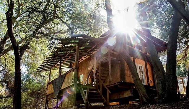 Mountain Retreat Japanese Tea House + Private Creek and Trails
