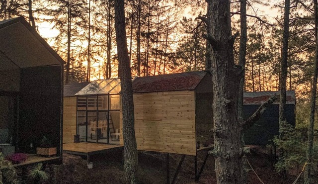 Natural Cabin in the Forest - Cozy and Equipped - WiFi + Kitchen