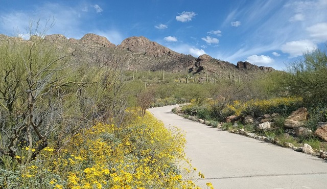 Nestled on Pusch Ridge Mountain in Oro Valley with full kitchen