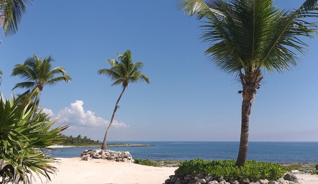 New 3BB Cenote view !Resident beach. Big pool