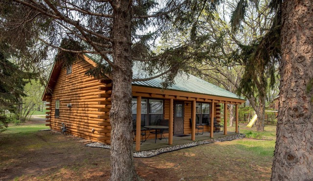 NEW! Big Pine | Fireside Log Cabin