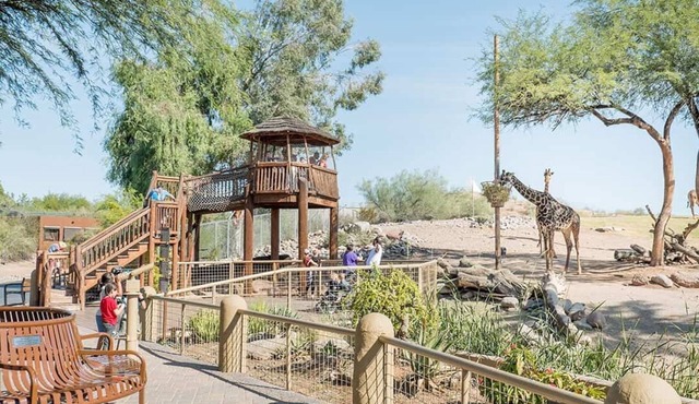 *New Listing* Itty Bitty Inn #4~Horse Friendly~BBQ
