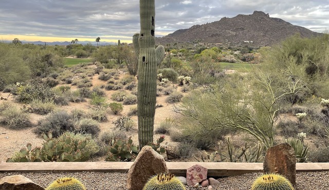 New remodel in the Boulders!