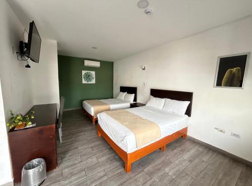 Noas Hotel