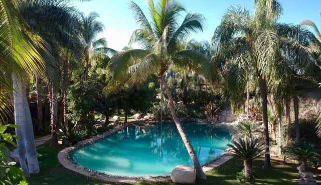 Oasis en San José del Cabo: Jardin Tropical