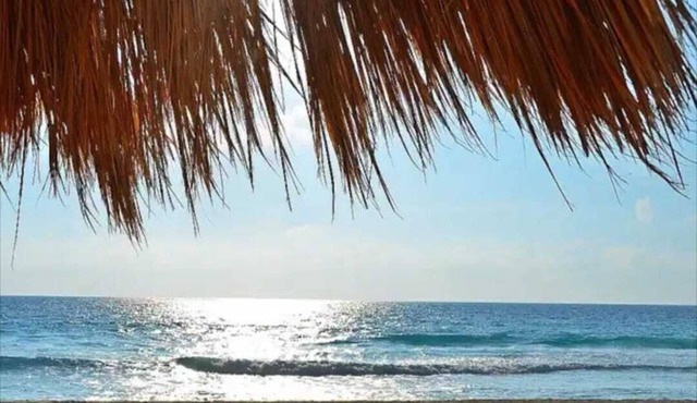 Ocean Front Roomy Caribbean Condo