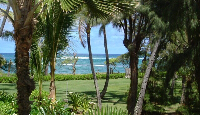 OCEANFRONT to Walking Path & Beach TVNC #1287 in Kapaa