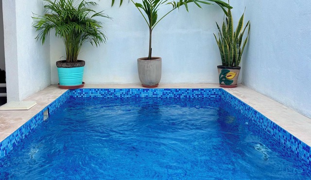 OFFER Excellent Private Residential House, Swimming Pool, Barbecue, Garden