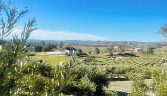 Olive Ranch Gem with Views!