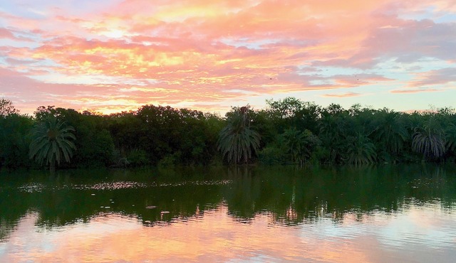On the Water! Birdwatching in Progreso Lakes!