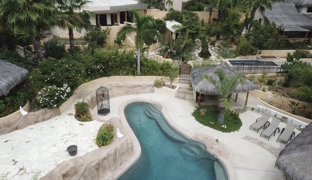 One Of A Kind Baja Palm Leaf Roof Villa