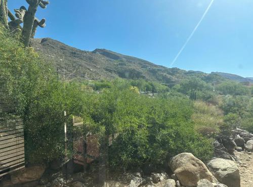 Our Mountain View