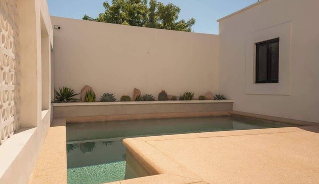 Palma Suite 101 Prime Location in Downtown La Paz