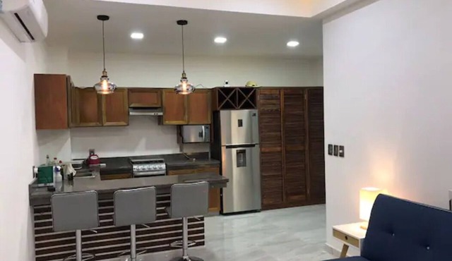 PALMAS DE CHAHUE 4 (474 SF)