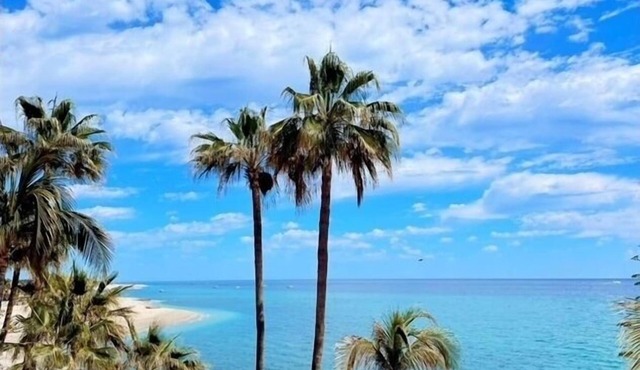 Paloma Jr. Suites 2nd Floor 2-rooms -patio & ocean view