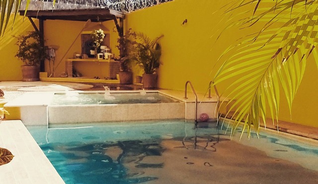 PAROTA HOUSE CLIMATE AND POOL.