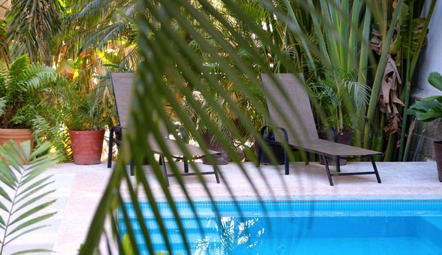 Patio Canarias Suites Pet-Friendly