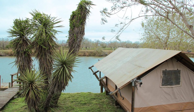 Peaceful Glamping Minutes from SpaceX