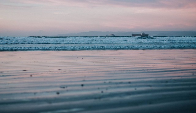 Picnic on the Beach