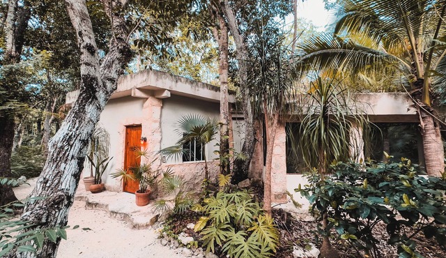 Private casita in lush jungle oasis with a/c, pool, gym, fiber wifi and laundry