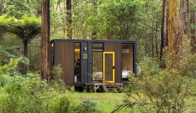 Quantum Field by Tiny Away in Toolangi