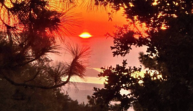Quiet cabin in Idyllwild. Stunning Views, Cozy, Private, Pet and kid Friendly.