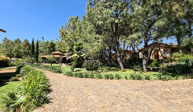 Quinta Tere Hotel & Gallery