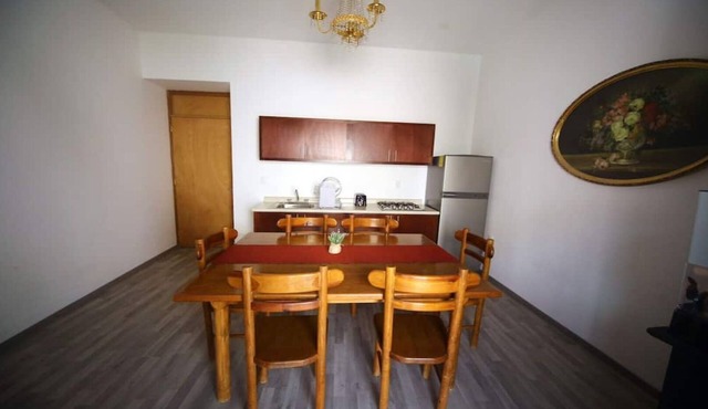RECENTLY REMODELED HISTORICAL CENTER APARTMENT