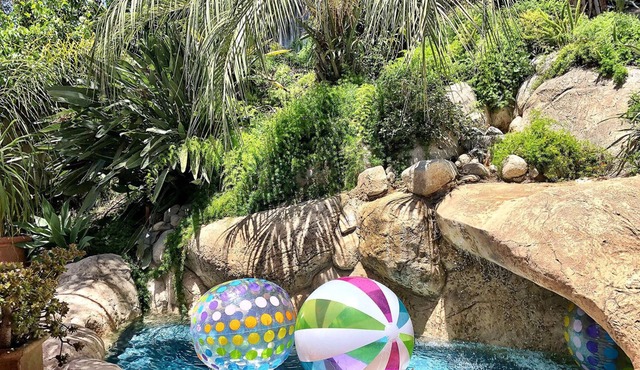 @ Rent Laguna Beach Sanctuary - Just above the Village