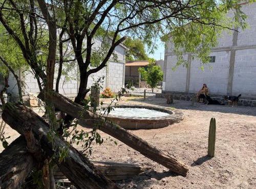 Restaurante y Cabañas Cané