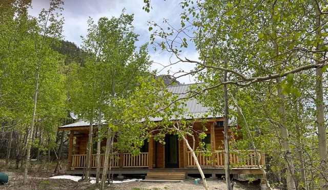 Roaring River Mountain Lodge-New Log Home *Book Now*