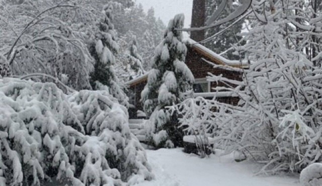 Romantic One Bedroom Cabin With Hot Tub and Large Patio