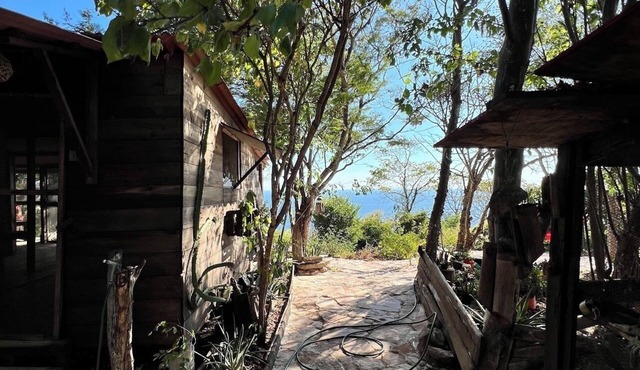 Rustic cabin with ocean view