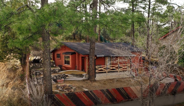 Rustic Cabin Bordering the Pines, Less than 1mi to DT Square