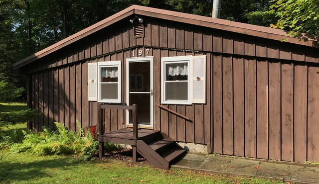 Rustic Cabin on Mccauley Mountain, One Minute From Downtown Old Forge. in Old Forge