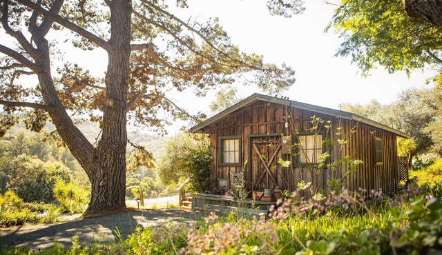 Rustic Charm in the Quiet Countryside: Olive Tree Cabin