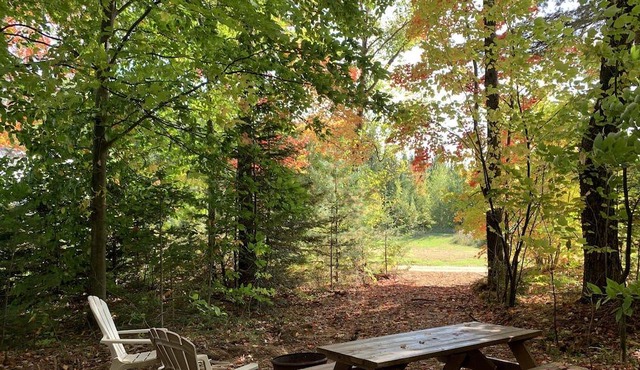 Rustic forest hut (taxiway station) in Saint-Cuthbert