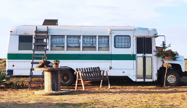 Rustic off-grid retreat for animal lovers and adventure seekers!