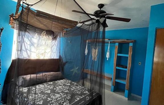 Selvática Holbox